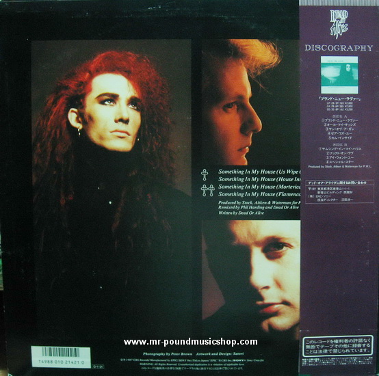 Dead Or Alive - Something In My House