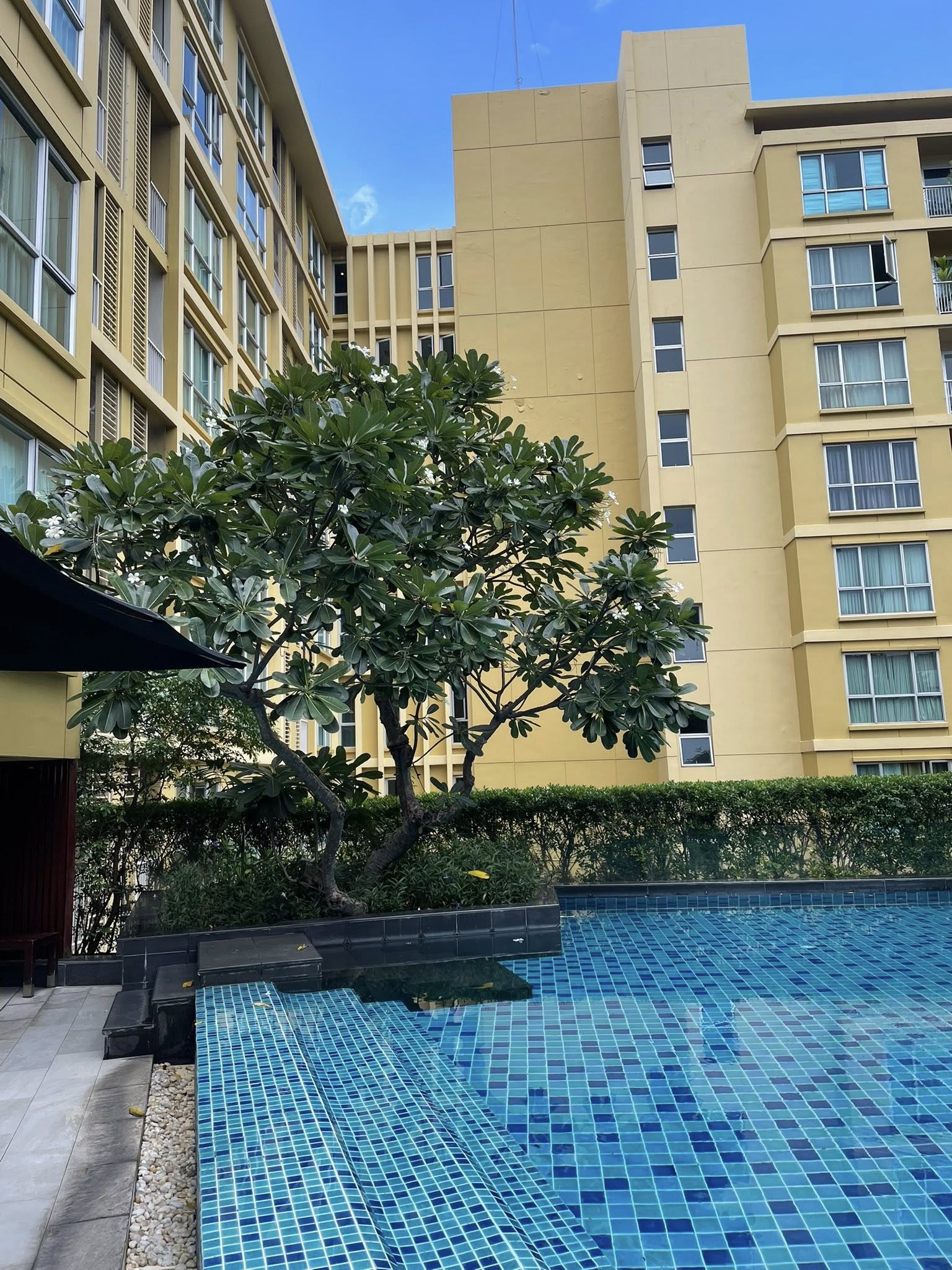 ð āđāļŦāđāđāļāđāļēāļāļāļāđāļ āđāļŪāļāđ āļŠāļļāļāļļāļĄāļ§āļīāļ 65 / For Rent Condo HIVE Sukhumvit 65