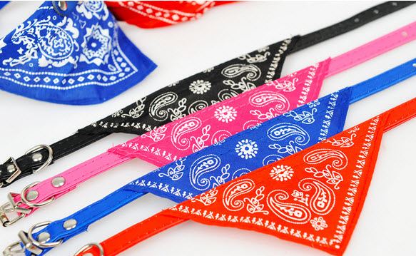 ปลอกคอ ลายผ้าพันคอสามเหลี่ยม สีน้ำเงิน สุนัขพันธุ์เล็กและแมว