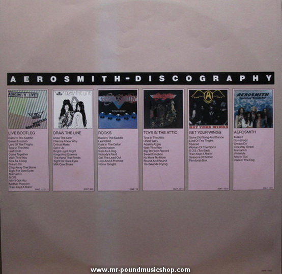 Aerosmith - Night in The Ruts