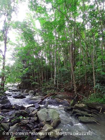 ขาย / ให้เช่า Brookside Valley 6000/ ต่อคืน ขาย 4.6 ล้าน บ้านเดี่ยว 2 ชั้น เนื้อที่ 220 ตรว. 2 ห้องนอน 2 ห้องน้ำ