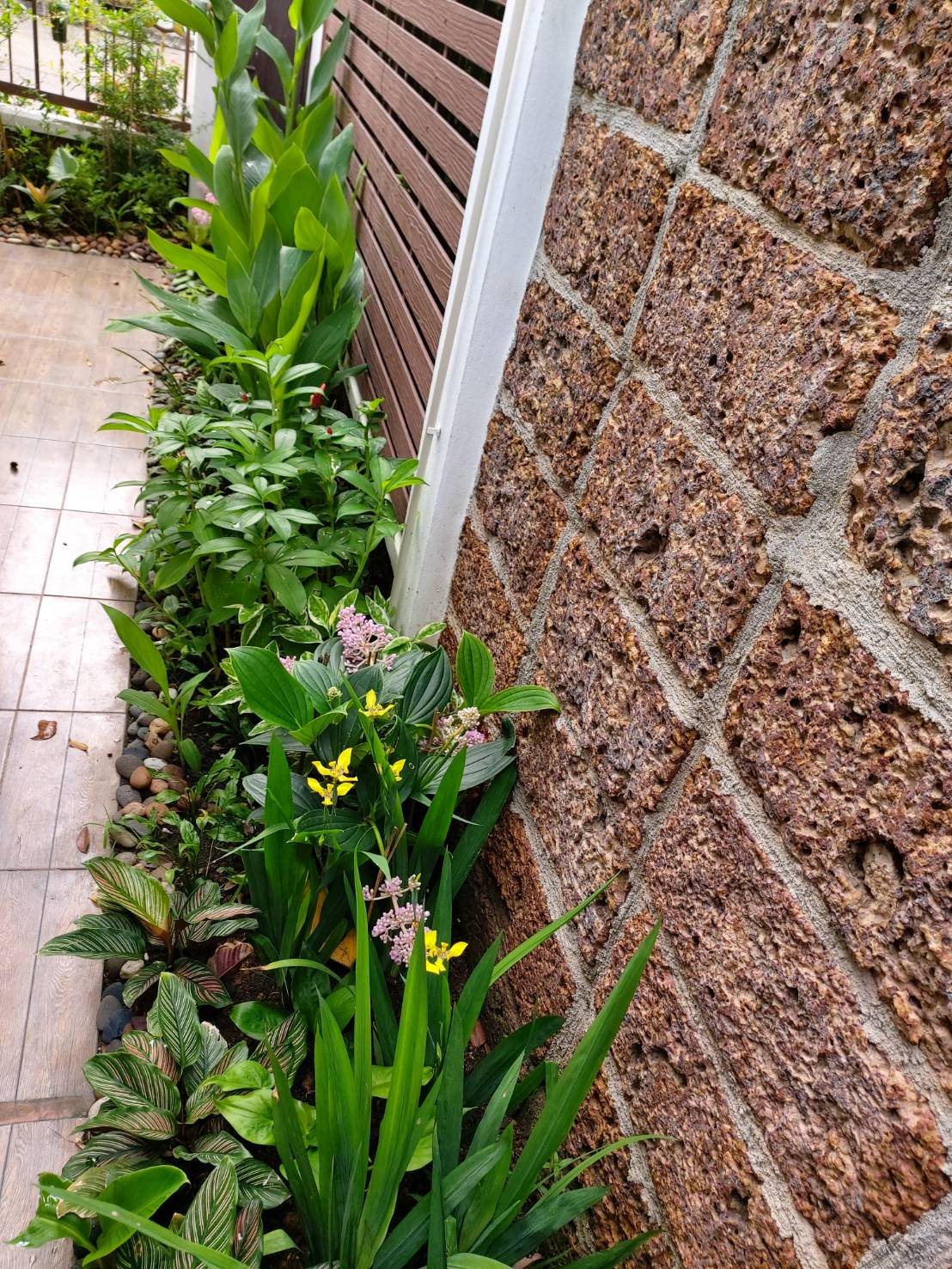 ขาย / เช่าบ้านเดี่ยว 2 ชั้น โครงการหมู่บ้านเดี่ยว ศุภาลัย สุวรรณภูมิ Supalai Suvarnabhumi ถ.ลาดกระบัง 1ก/14 ขายราคา 15,900,000บาท