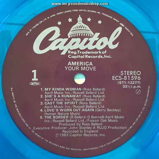 America - Your Move