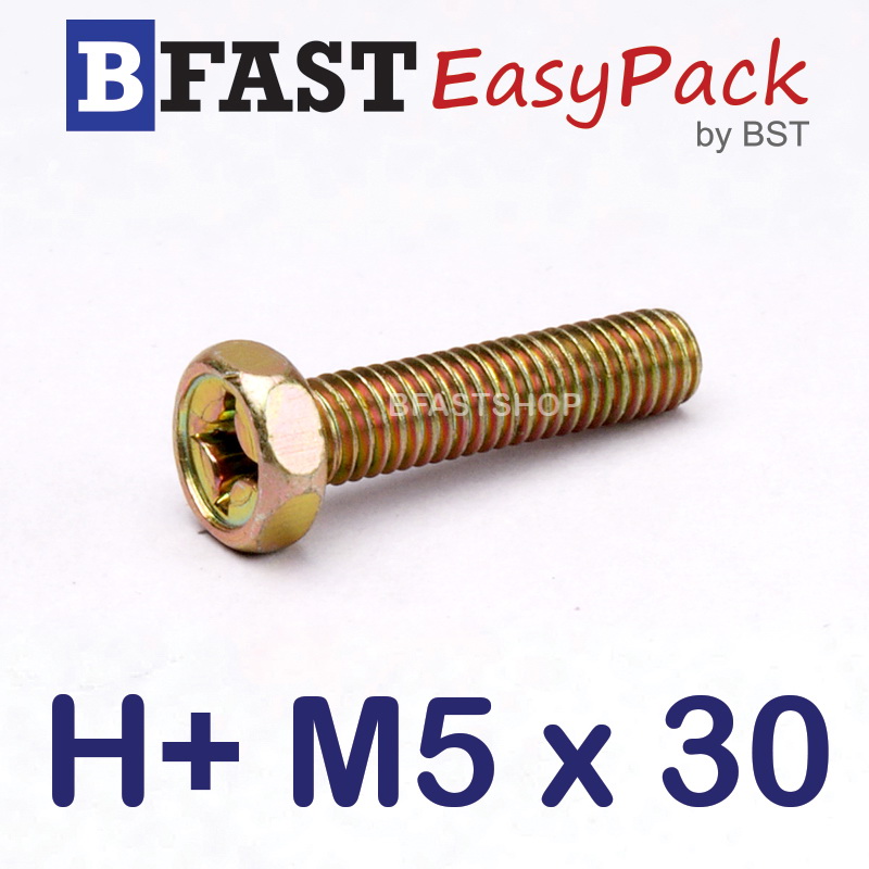 สกรูหัวเหลี่ยมแฉก H+ M5 x 30 (สกรู IND) (10 ตัว/ถุง)