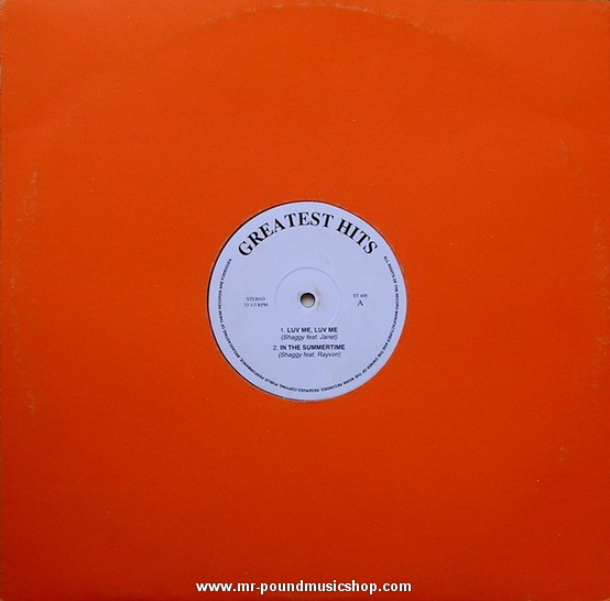 Shaggy, Stevie Wonder, Big Punisher - Luv Me, Luv Me, Mastablasta '98, Makers Me Sweat