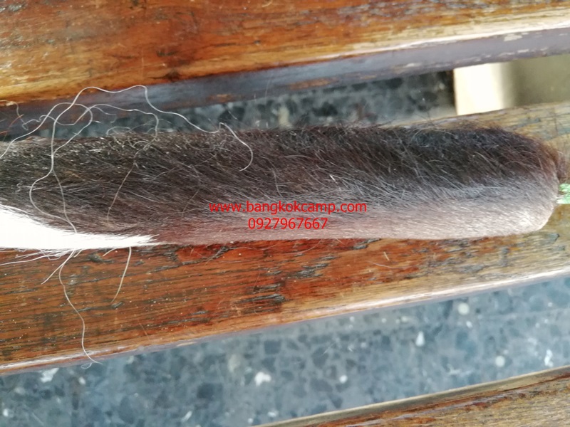 แส้ขนจามรีแท้ ด้ามหนัง​ ใหม่เก่าเก็บ ไม่ผ่านการใช้ (2) ขนสีดำ หายาก