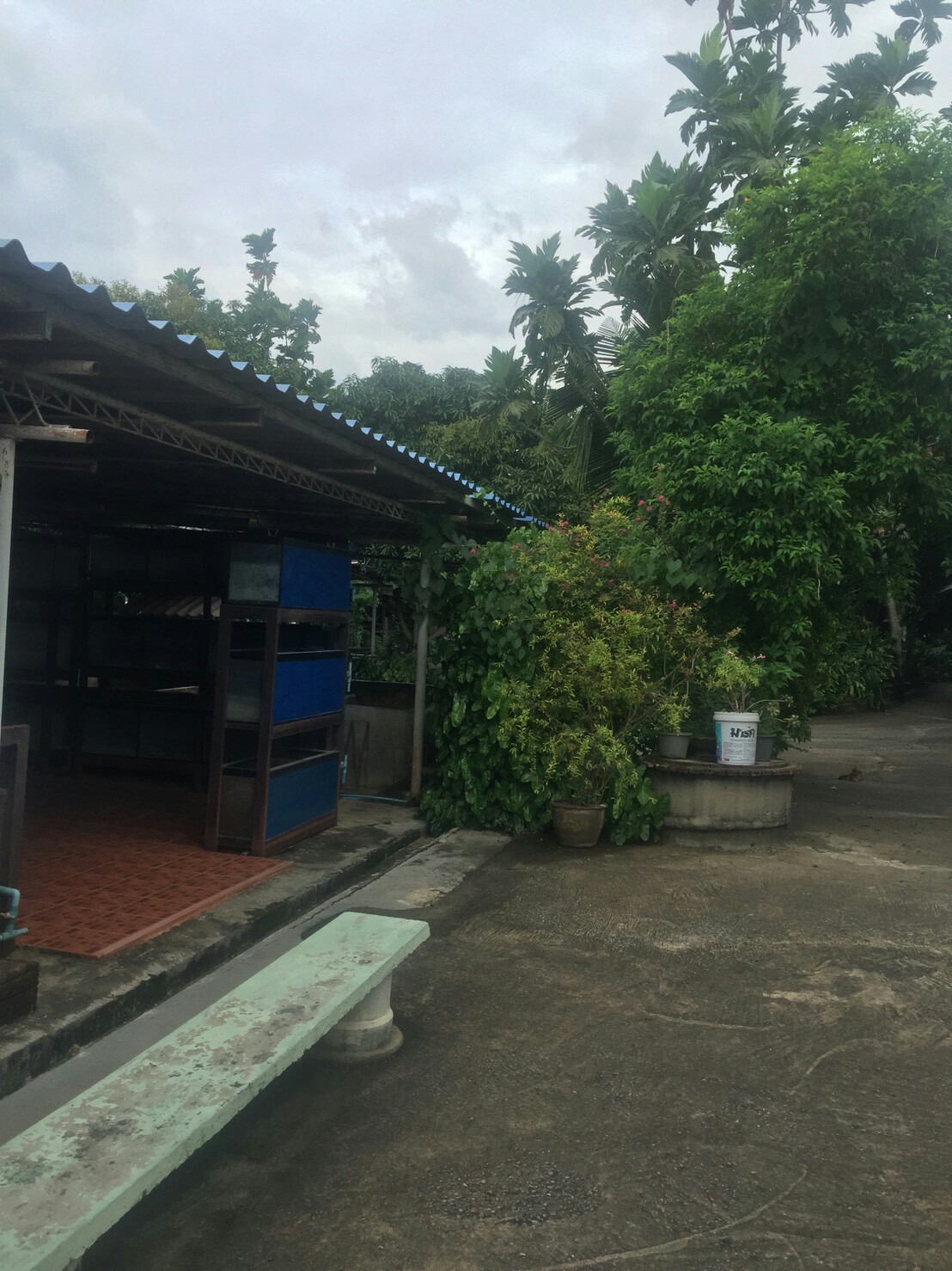 ขายที่ดินติดแม่น้ำเจ้าพระยา เนื้อที่ 4 ไร่ ส่วนเกินที่เป็นกรรมสิทธ์ที่ยื่นในน้ำ 2 ไร่ หน้ากว้างด้านแม่น้ำ 40 เมตร ลึก 150 เมตร