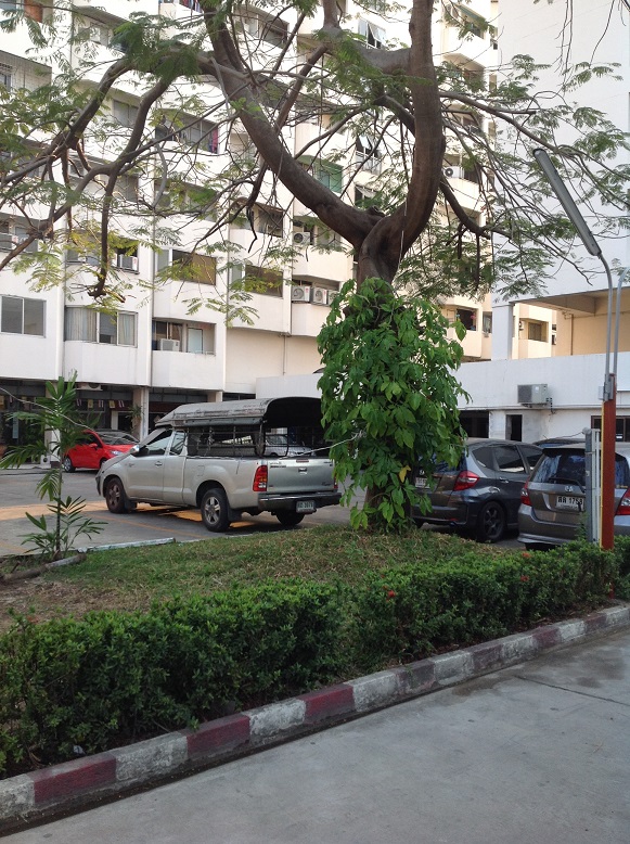 🔥 ขายคอนโดทำเลทองใจกลางเมือง ใกล้ BTS สะพานควาย ราคาถูกจุด!ๆๆ ขายพร้อมผู้เช่า!! รับรายได้ค่าเช่าทันทีทุกเดือน 💸