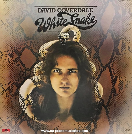 David Coverdale - Whitesnake