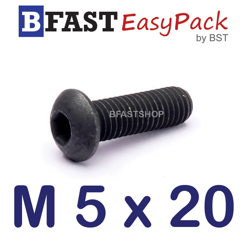 สกรูจมกลมดำ M 5 x 20 (12 ตัว/ถุง)