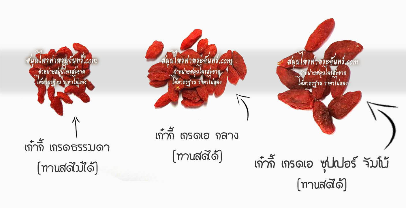 เก๋ากี้ เกรดเอ ไซส์กลาง (ทานสดได้)