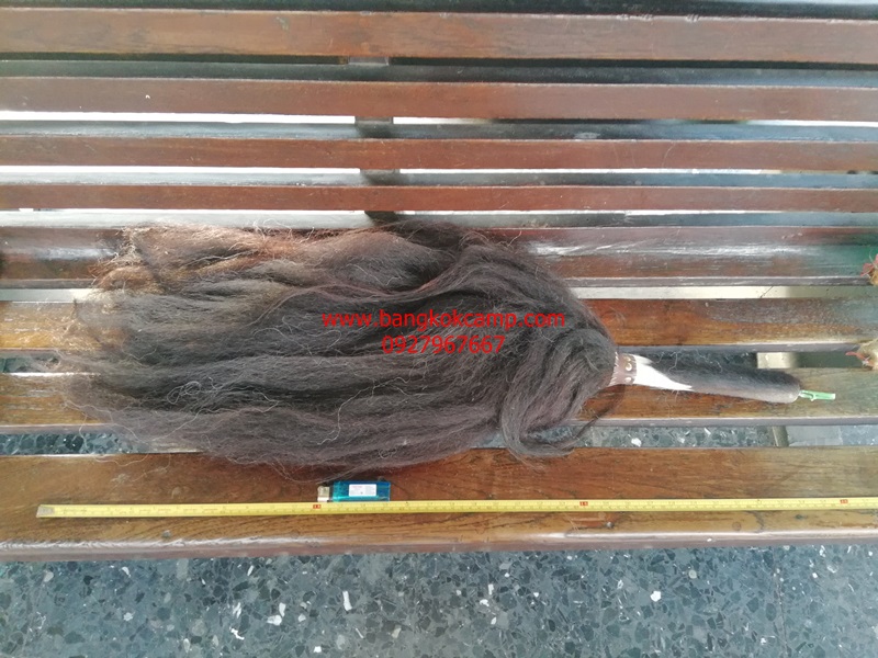 แส้ขนจามรีแท้ ด้ามหนัง​ ใหม่เก่าเก็บ ไม่ผ่านการใช้ (2) ขนสีดำ หายาก