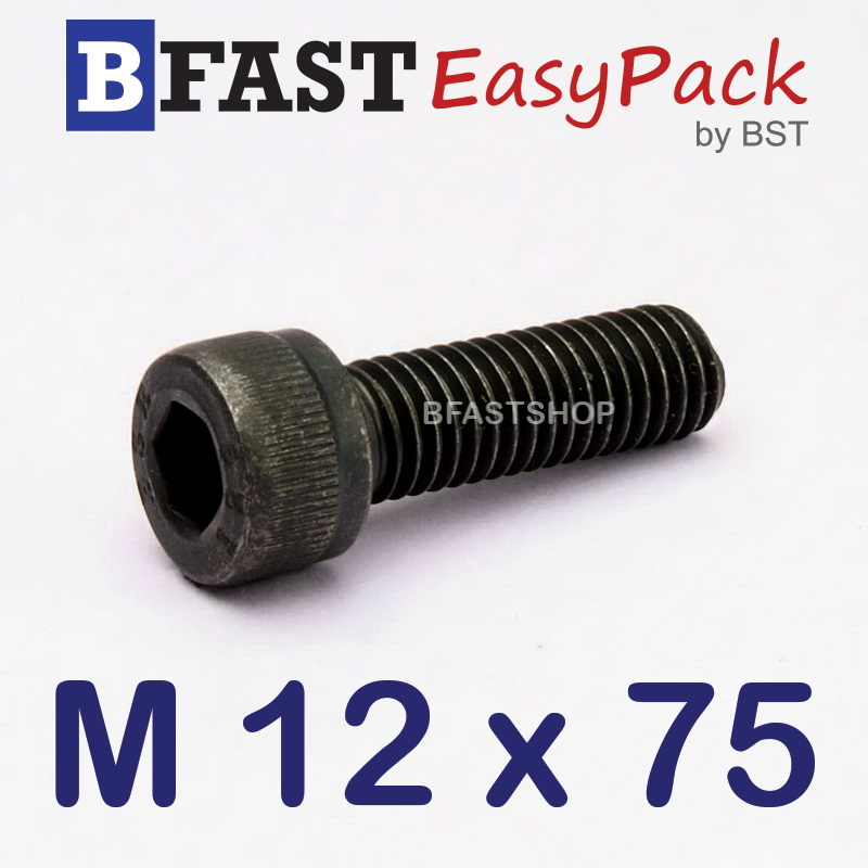 สกรูหัวจมดำ M 12 x 75 (2 ตัว/ถุง) *เกลียวครึ่ง*
