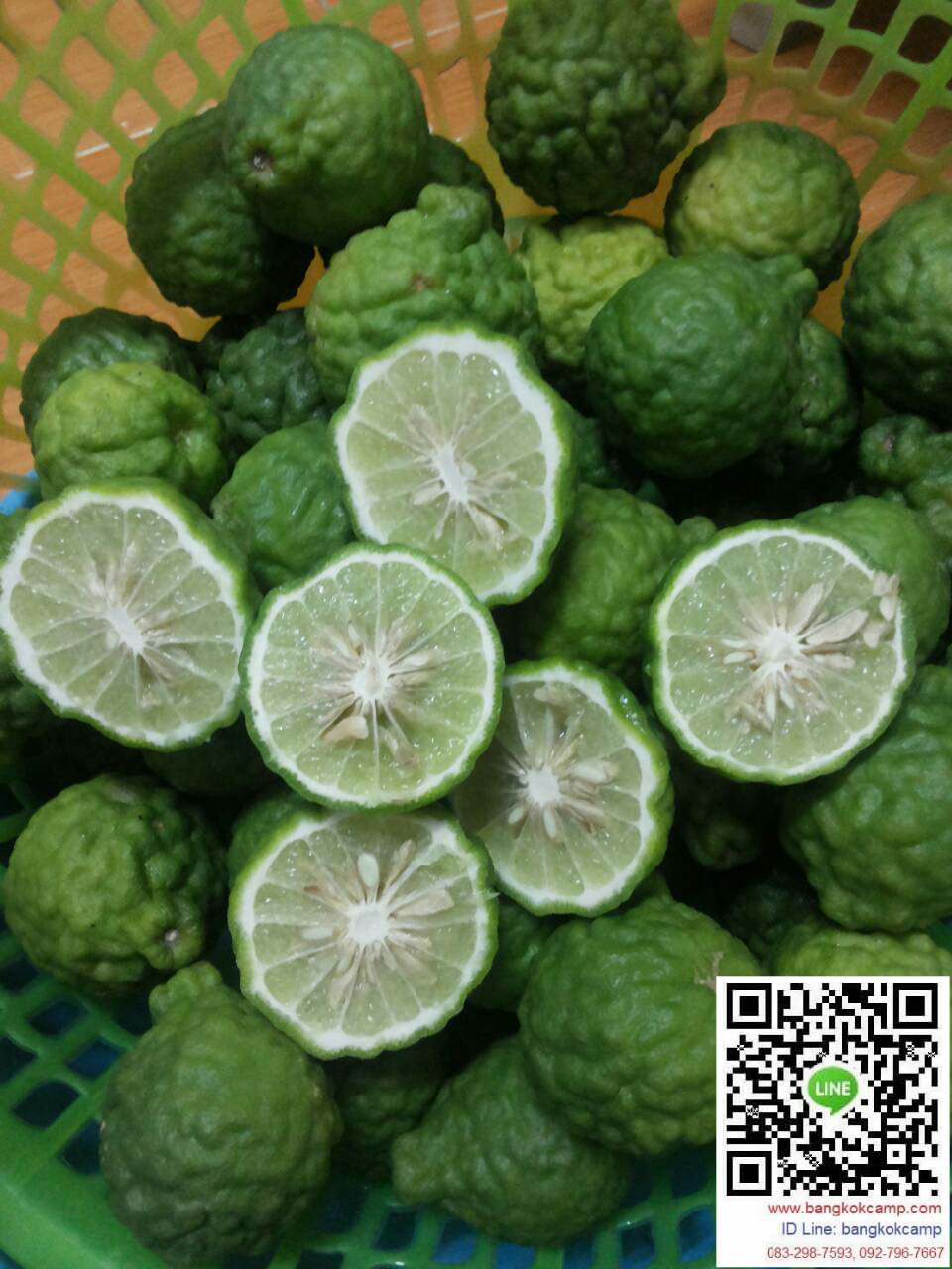 ครีมนวดผมมะกรูด เข้มข้น ออร์แกนิค (Organic) 350ml.