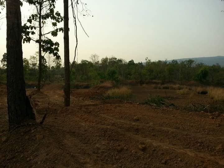 ที่ดินสวยราคาได้ ที่ดินยกแปลง 7 ไร่ 1 งาน 88 ตารางวา ที่ตั้ง ม.11 ต.นาเสียว อ.เมือง.จ.ชัยภูมิ