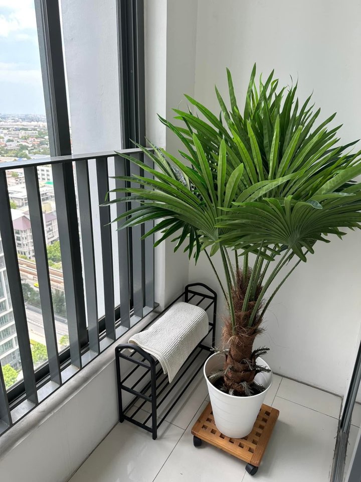 🌟 ให้เช่าคอนโด IDEO Mobi Sukhumvit (ไอดีโอ โมบิ สุขุมวิท ) ให้เช่า ติด BTS อ่อนนุช เดินเพียงไม่กี่ก้าว | ทำเลดี เดินทางสะดวกสุด ๆ