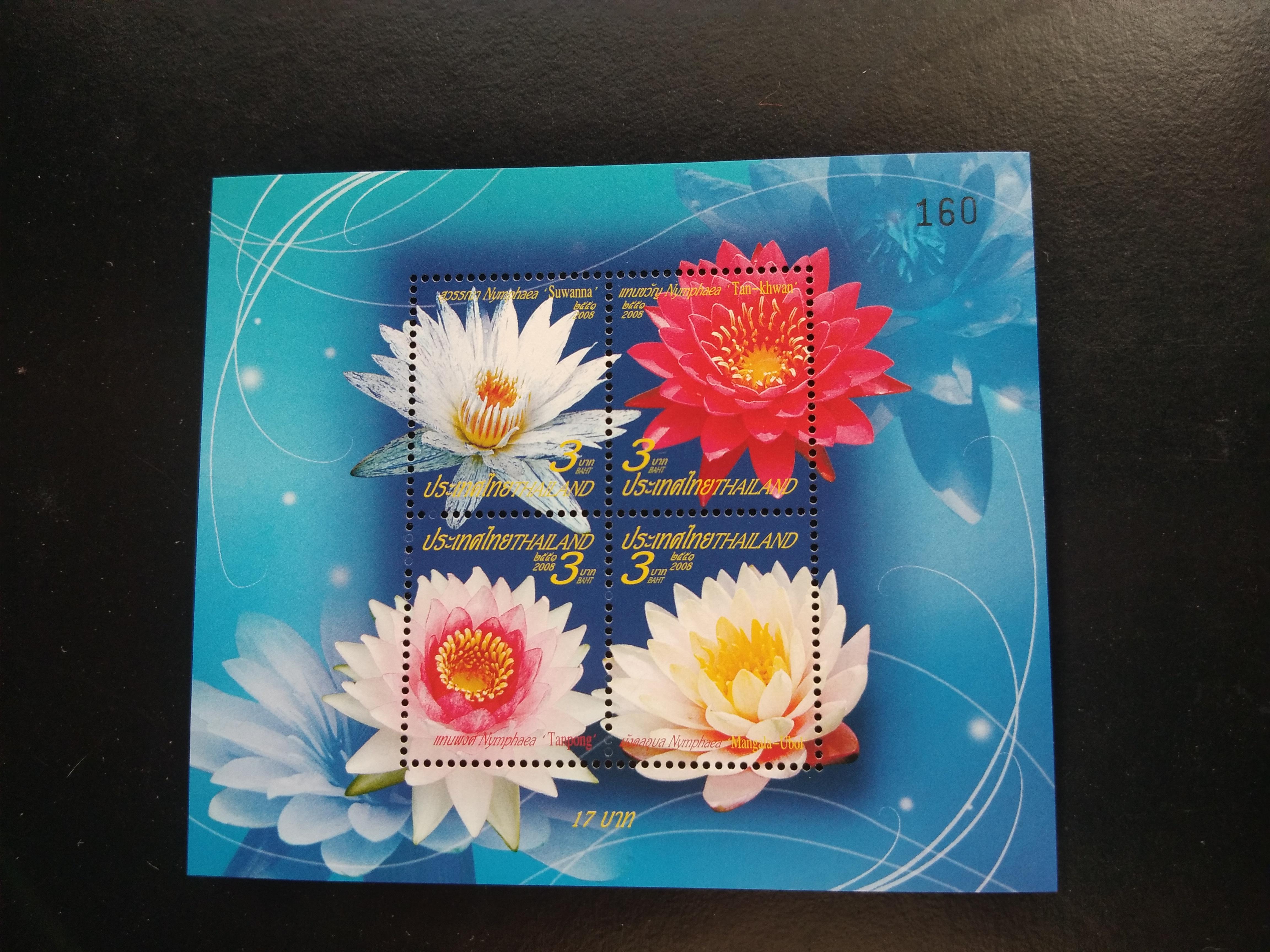 ชีท ชุดปีใหม่ 2552