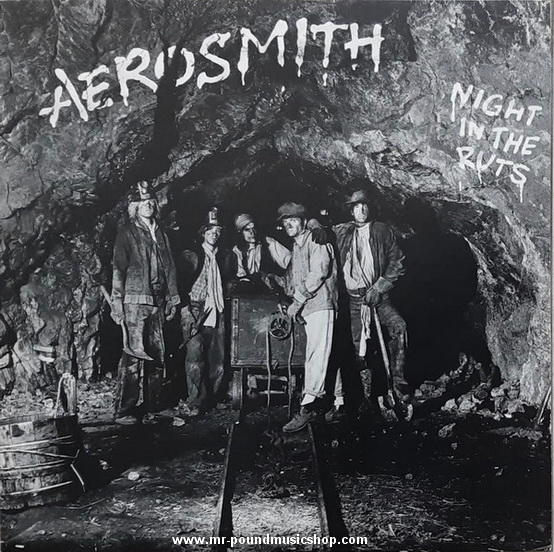 Aerosmith - Night in The Ruts