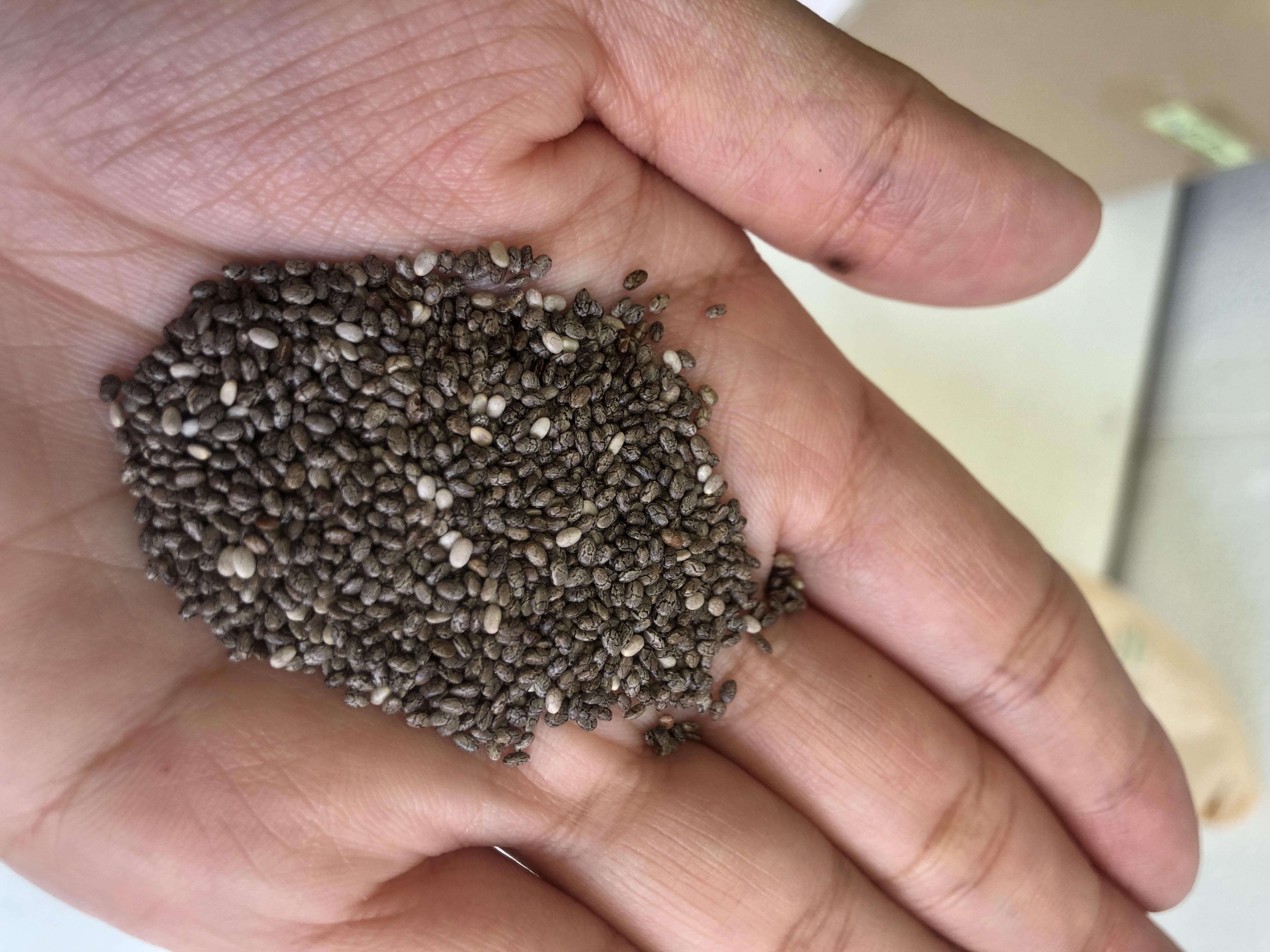 อิ่มเอม เมล็ดเชีย BLACK CHIA SEED 100g. High Protein