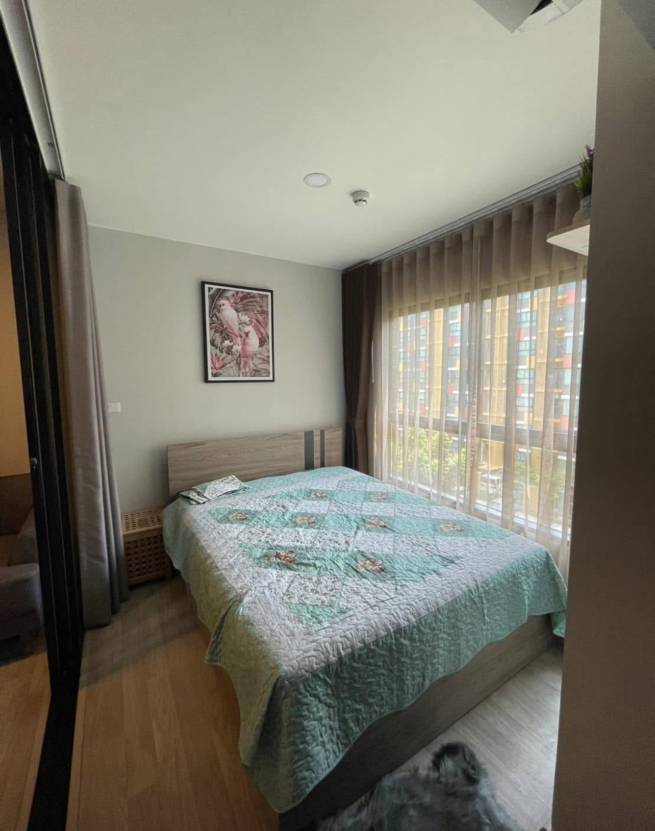 ✨ ให้เช่าคอนโด Plum Condo สุขุมวิท 97/1 ห้องสวย ชั้น 5 อาคาร B ขนาด 30 ตร.ม. วิวสระว่ายน้ำ ใกล้ BTS บางจาก เพียง 500 เมตร!