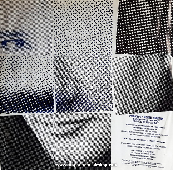 Rod Stewart - Comouflage