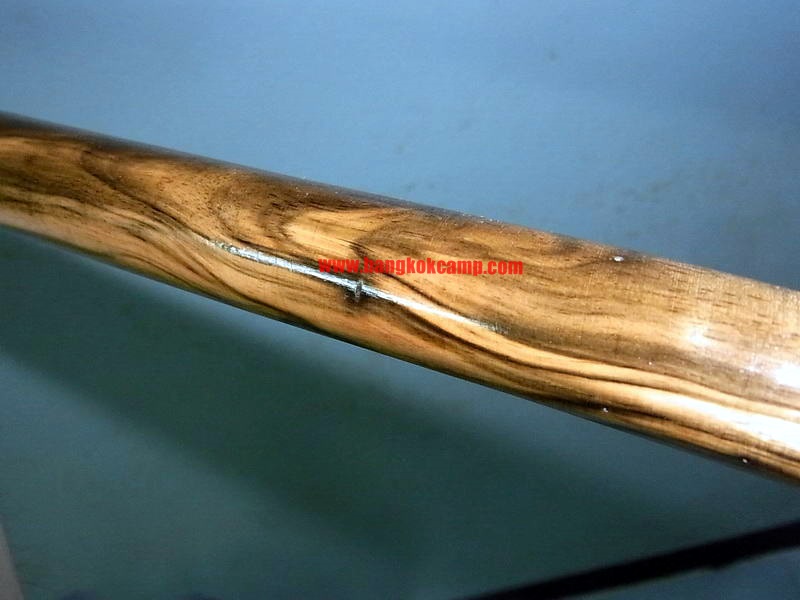 ไม้มงคลหายาก... ไม้ตะพด(ไม้มะริด)