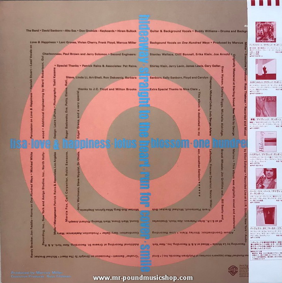 David Sanborn - Straight To The Heart