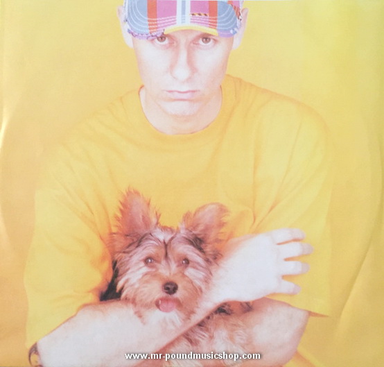 Pet Shop Boys - Introspective