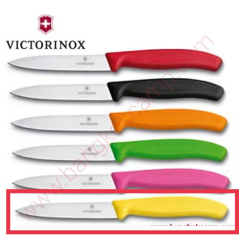 มีดครัว Victorinox Paring Knife 10 cm ใบเรียบสีเหลือง