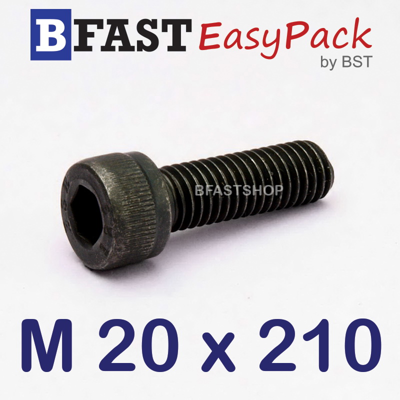สกรูหัวจมดำ M 20 x 210 *เกลียวครึ่ง*