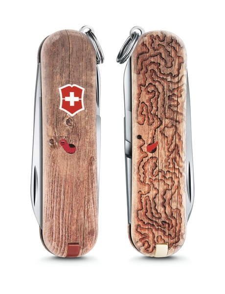 VICTORINOX KNIFE CLASSIC "WOODWORM" LIMITED EDITION 2017