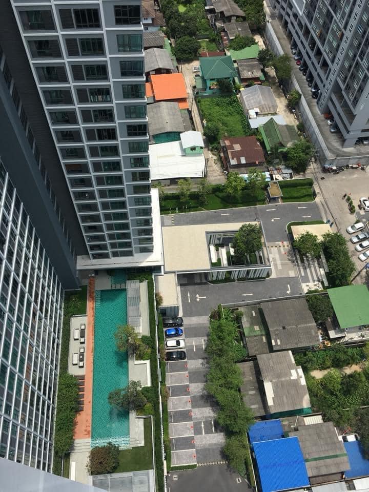 ขาย /ให้เช่าคอนโด IDEO Wutthakat (ไอดีโอ วุฒากาศ) (ติด)รถไฟฟ้า BTS สถานี วุฒากาศ 1 ห้องนอน 1 ห้องน้ำ ขนาด 31ตรม. ชั้น31 วิวสระว่ายน้ำ วิวสวยไม่มีตึกบังวิว