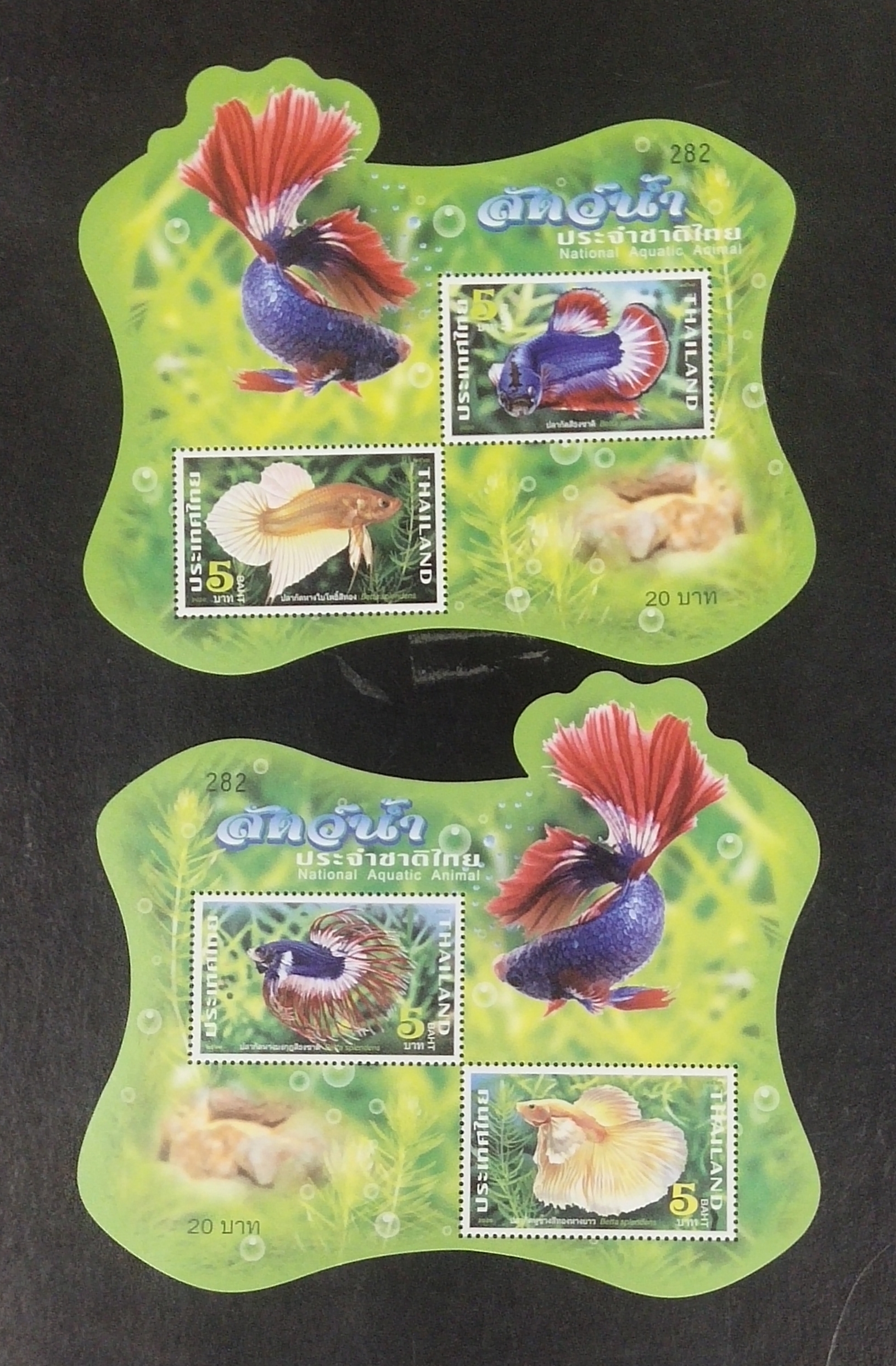 ชีทชุดสัตว์น้ำ ปลากัด