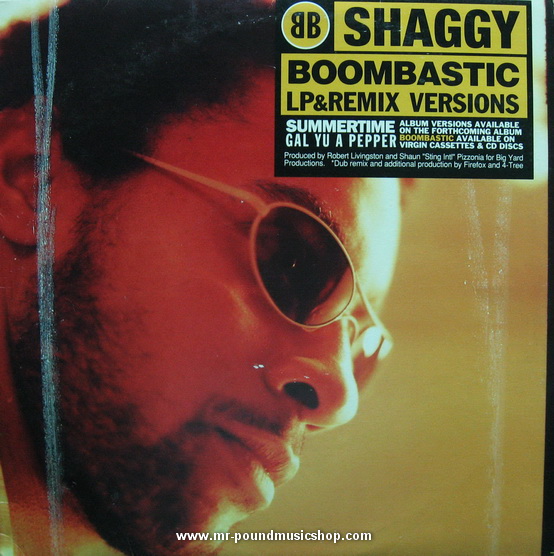 Shaggy - Boombastic