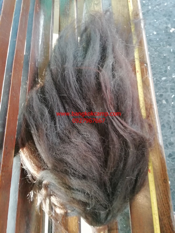 แส้ขนจามรีแท้ ด้ามหนัง​ ใหม่เก่าเก็บ ไม่ผ่านการใช้ (2) ขนสีดำ หายาก