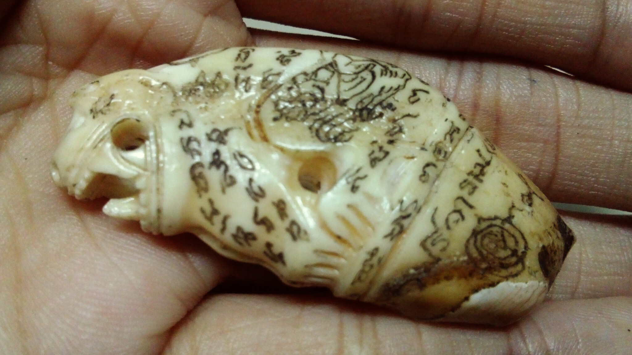 M1801 เขี้ยวหมีแกะเสือ หลวงพ่อเอนก วัดปรีดาราม