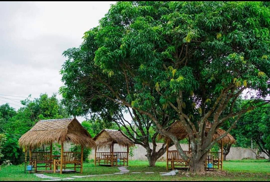 ขายที่ดินถมแล้ว ขนาดพื้นที่ ประมาณ 3 ไร่ 1 งาน 90 ตรว. ขายราคา 4 ล้านต่อรองได้ หน้ากวาง 10 วา ยาว 120 วา ท้ายไร่กว้าง 15 วา