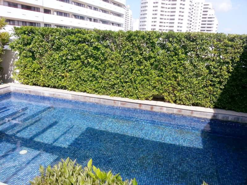 ให้เช่าคอนโด 49 Plus (49 พลัส ซอย สุขุมวิท 49 ) 3 ห้องนอน 2 ห้องน้ำ ขนาด: 104 ตร.ม.