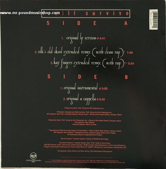 Chantay Savage - I Will Survive