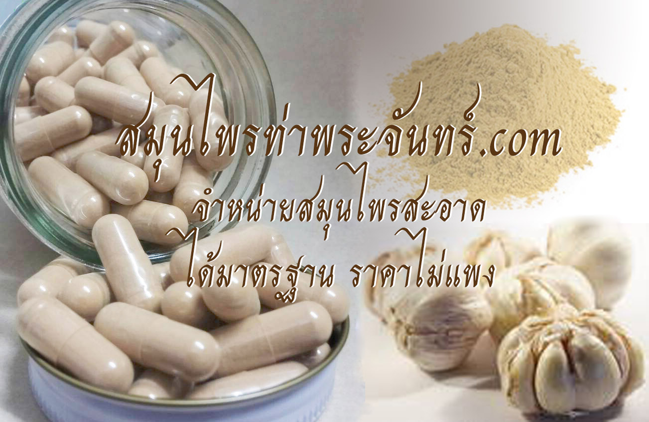 สมุนไพรกระเทียม