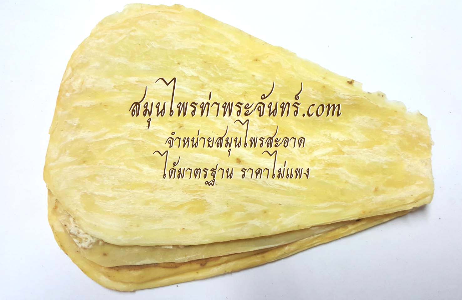 สมุนไพรตังกุยแผ่นใหญ่