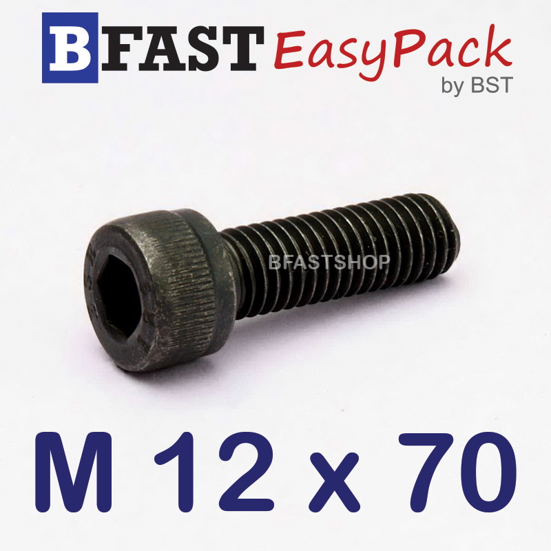 สกรูหัวจมดำ M 12 x 70 (2 ตัว/ถุง) *เกลียวครึ่ง*