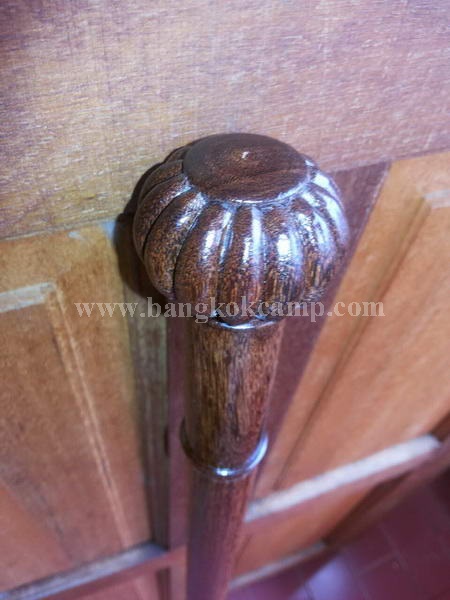 ไม้มงคลหายาก... ไม้ตะพด(ไม้แก่นมะขาม) หัวกลีบมะเฟือง