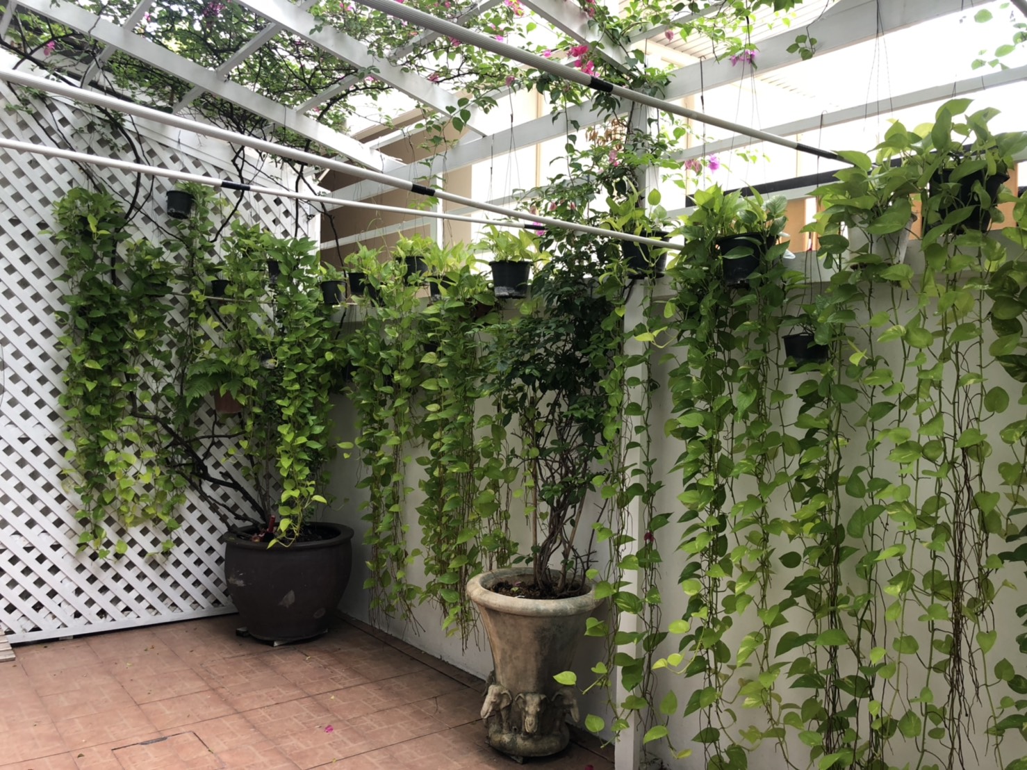 ขาย / เช่าบ้านทาวน์เฮ้าส์ ที่หมู่บ้านโฮมเพลส สุขุมวิท71 Moo Baan Home Place 4 ชั้น 4 ห้องนอน 4 ห้องน้ำ