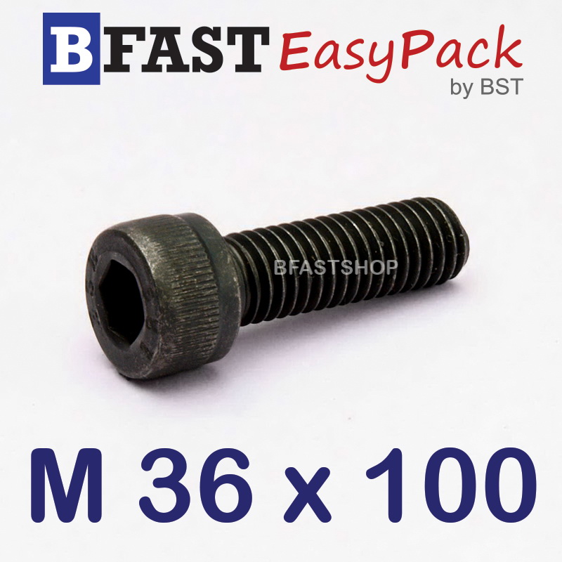 สกรูหัวจมดำ M 36 x 100 *เกลียวตลอด*