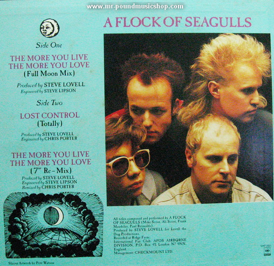 A Flock of Seagulls - The More You Live, The More You Love
