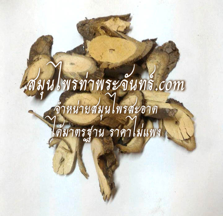 เถาเอ็นอ่อนแห้ง