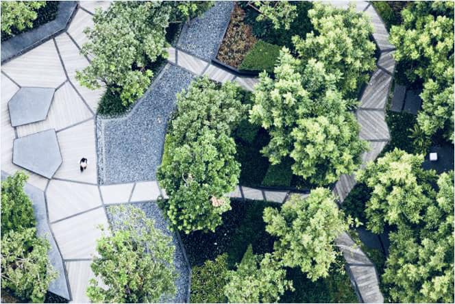 ขาย / เช่า คอนโด Life @ Ladprao 18 (ไลฟ์ แอท ลาดพร้าว 18) 1 ห้องนอน ขนาด 45 ตร.ม. ชั้น 31 ใกล้MRT ลาดพร้าว