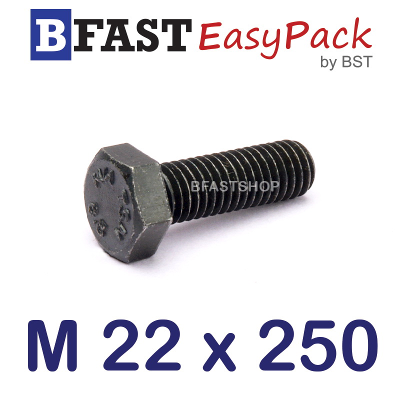 สกรูมิลดำ M22 x 250 *เกลียวครึ่ง*