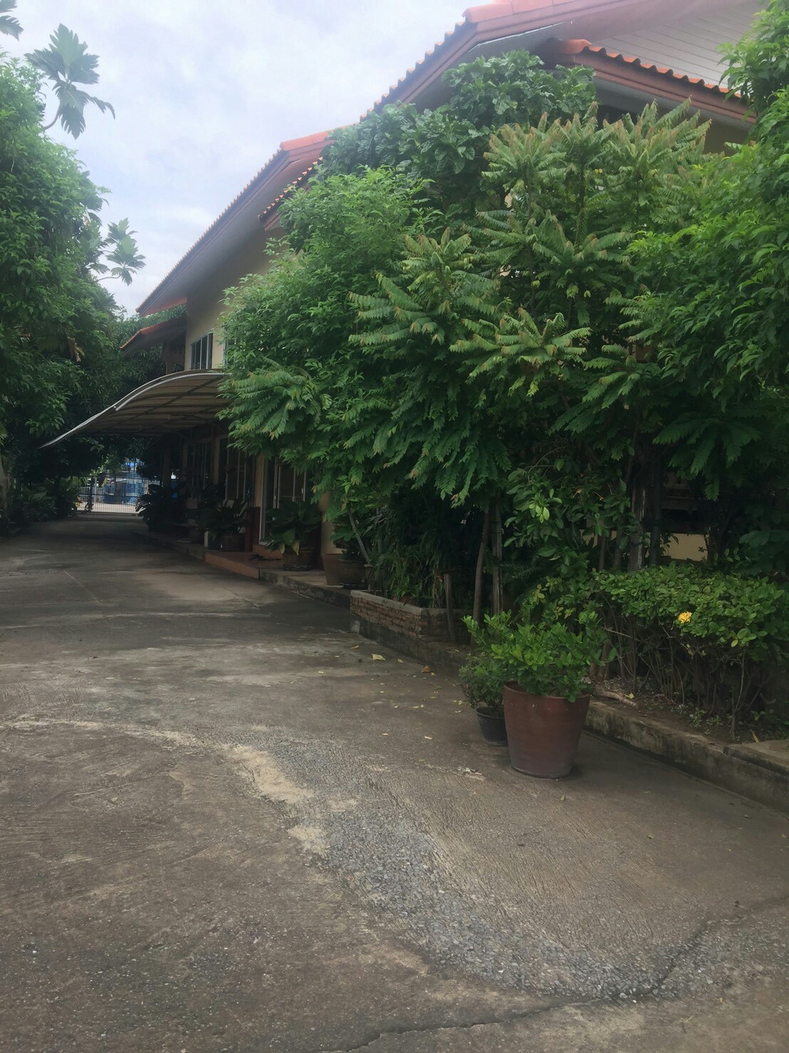 ขายที่ดินติดแม่น้ำเจ้าพระยา เนื้อที่ 4 ไร่ ส่วนเกินที่เป็นกรรมสิทธ์ที่ยื่นในน้ำ 2 ไร่ หน้ากว้างด้านแม่น้ำ 40 เมตร ลึก 150 เมตร